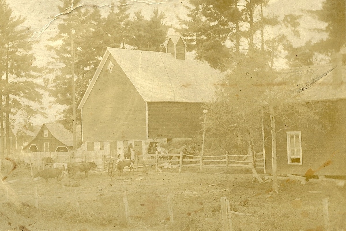 Grandfathers farm